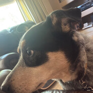 c.riley.k