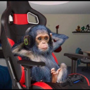 миша маваши