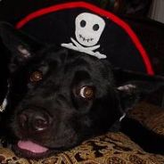 Whoop - steam id 76561197963135855