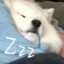 潇溢ovo