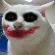 hiro - steam id 76561197964396456