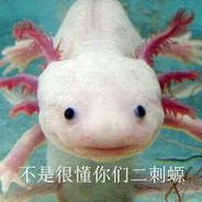 我非常之肯定这个鬼有他妈的脚臭