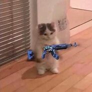 WWW
