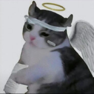 无敌暴龙喵喵兽