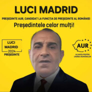 Luci