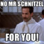 Mr Schnitzel