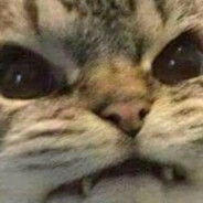 горькая попка