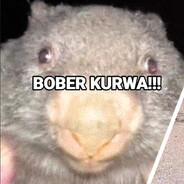 Bober kurwa
