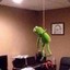 Kermit suicide