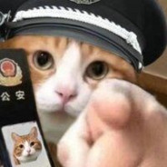 我们也曾被人羡慕