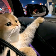 为了将来遇见你