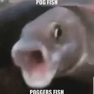 poggers  fish