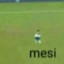 mesi