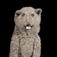 ryanowaty