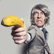 文武双全马保国