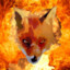 Verifox