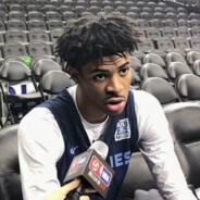 我见玫瑰始于荆棘之上