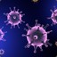 Virus