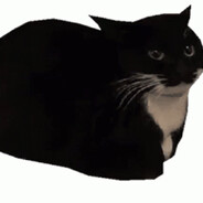 虚黑城击脖糕手