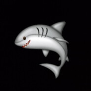 GRV | ShaRK - steam id 76561199833873736