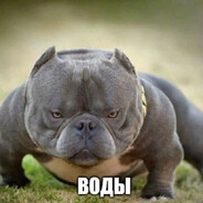 I3aжный Xyй avatar