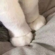 一万个馒头与仙帝