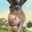 donkey