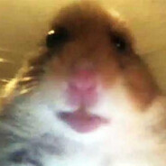 La Oreja de Van Gonc