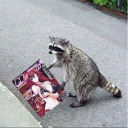 Horny Raccoon