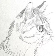 胡可可可可爱辣