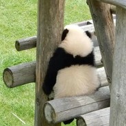 我和你爹不一样