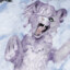 Sheera