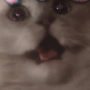 Dodarlik*******csgorun.pro