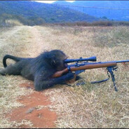 满山猴子就你腚红