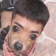 Casagrande avatar