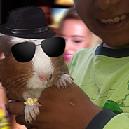 Cuysito Parador 2.0 avatar