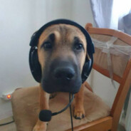 Solek - steam id 76561198244835838