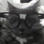 viqnopad