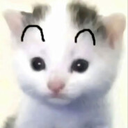 我脑子真有问题