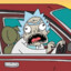 GET IN THE FUCKING CAR MORTY!!