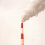 ПяткаСлона