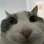 don_jondro