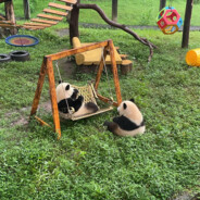 花果山你牛爷爷