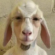 ДЕБОШИР ЛЕРКИ