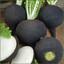ridiche neagra