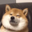 铁笨比是吧