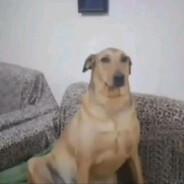 VlAdOk- - steam id 76561198954540840