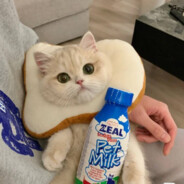 女明星的小粉丝