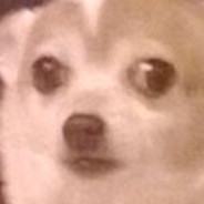 ❤Swinging_Cola.Ci^Duang♛