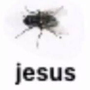 bug evolved